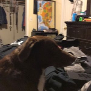 Meet your Posher, Ryan